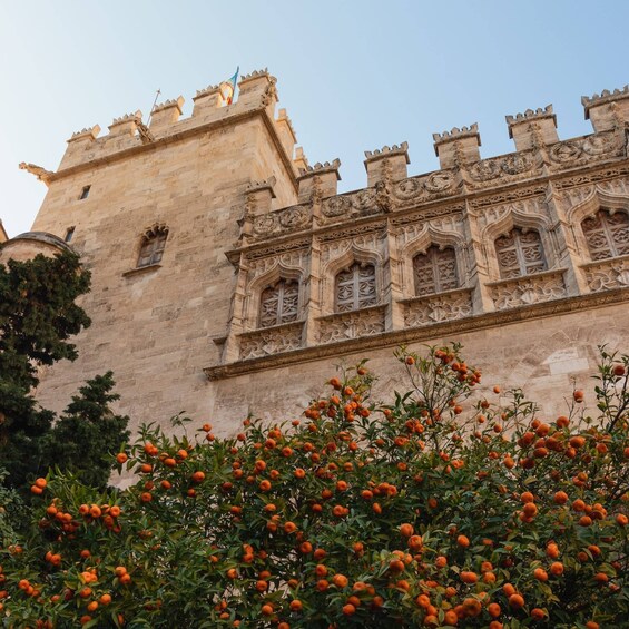 Picture 5 for Activity Valencia: Private and Guided City Walking Tour