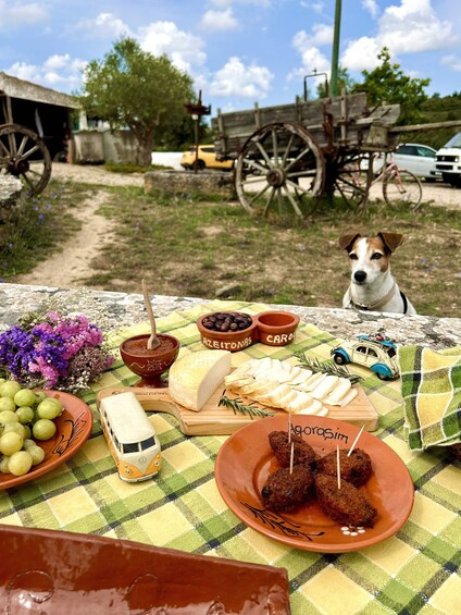 Picture 2 for Activity Sintra: Countryside Gastronomic Tour in a Vintage Car