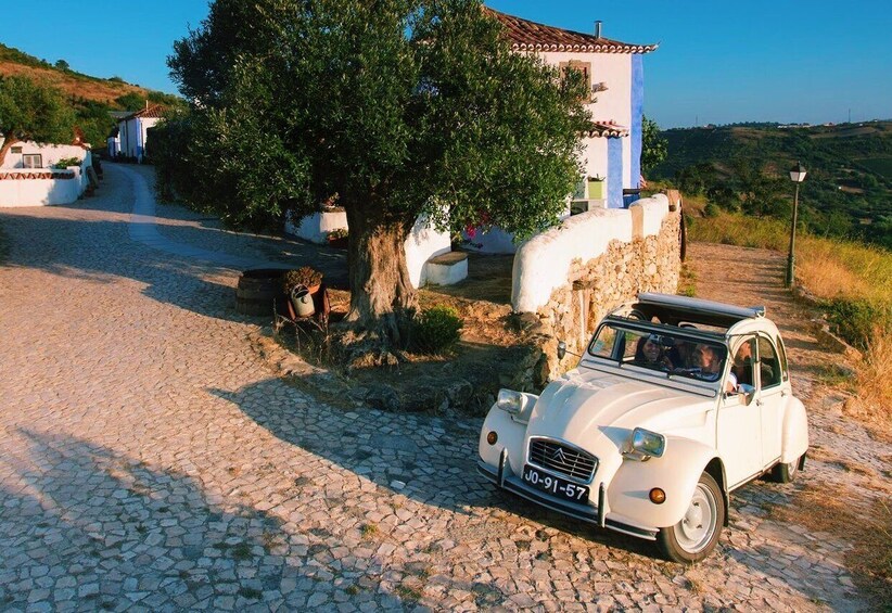 Picture 10 for Activity Sintra: Countryside Gastronomic Tour in a Vintage Car