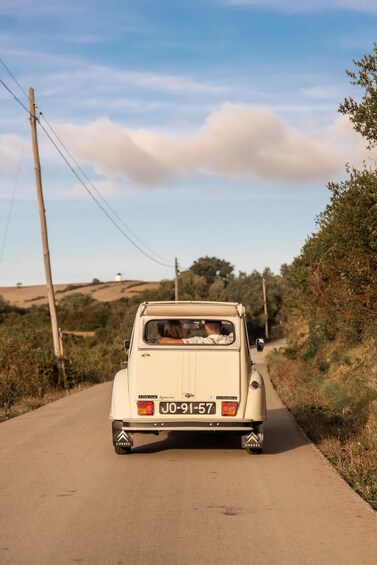 Picture 6 for Activity Sintra: Countryside Gastronomic Tour in a Vintage Car