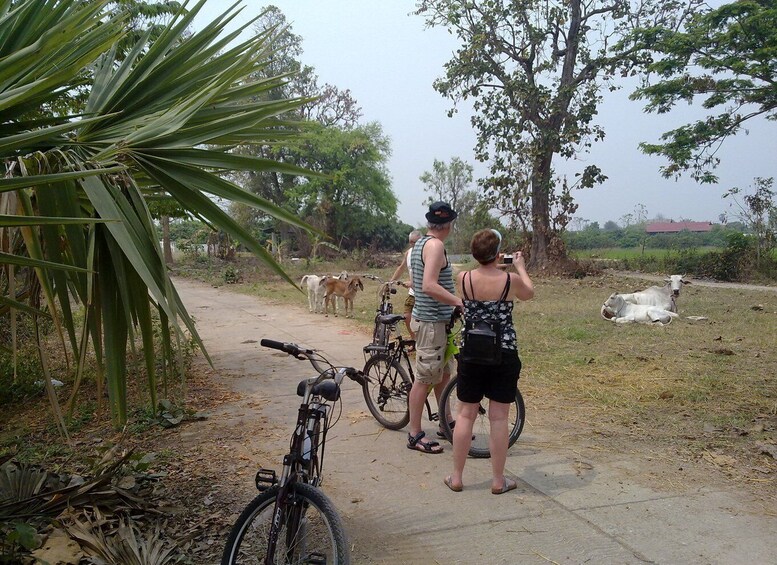 Picture 1 for Activity Chiang Mai Paradise Full Day Bicycle Tour