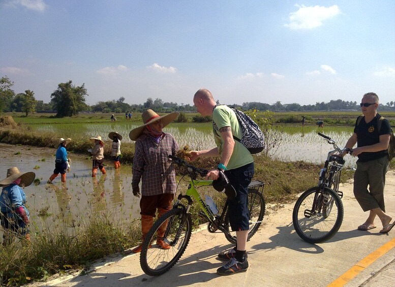 Chiang Mai Paradise Full Day Bicycle Tour