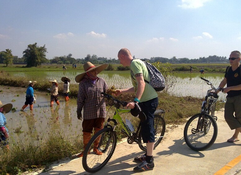 Chiang Mai Paradise Full Day Bicycle Tour