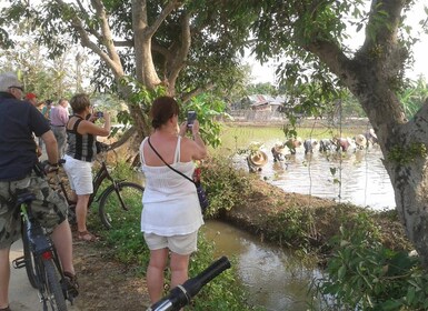 Excursión guiada en bicicleta por los Colores de Chiang Mai