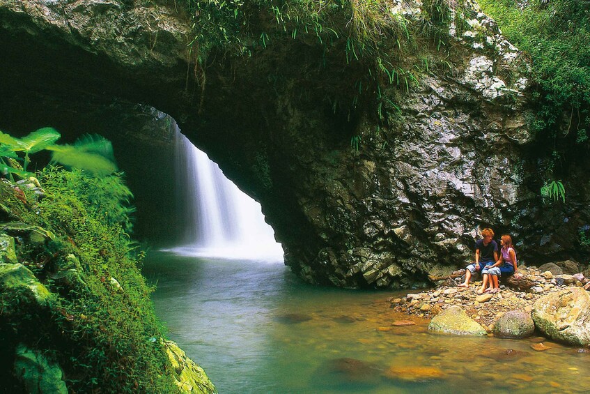 Picture 1 for Activity Gold Coast: Natural Bridge Glow Worm Night Tour