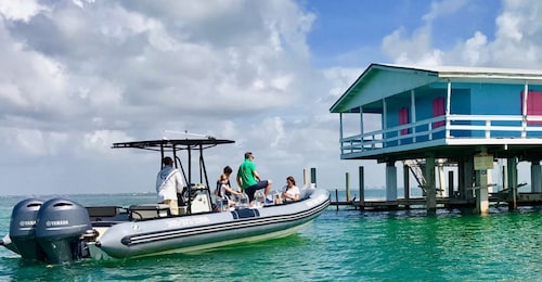 Miami: Miami: Biscayne Bay Pienryhmäinen kiertoajelu veneellä