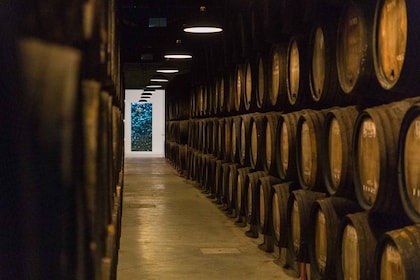 Porto : visite guidée et dégustation de vins DOC Douro et Porto