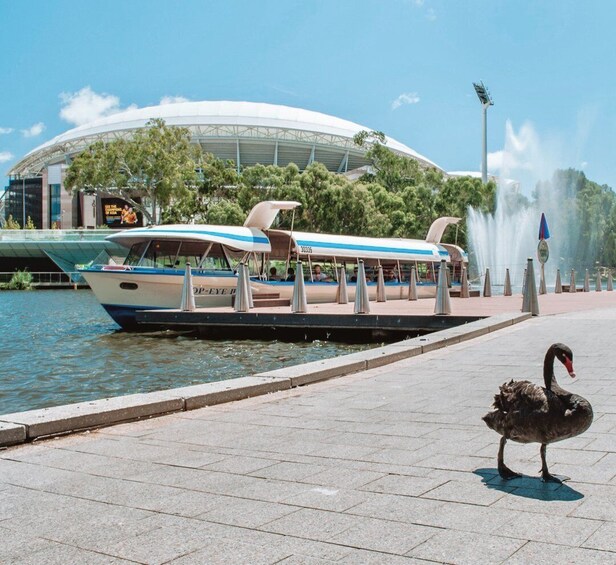 Picture 6 for Activity Adelaide: River Torrens Popeye Devonshire Tea Cruise