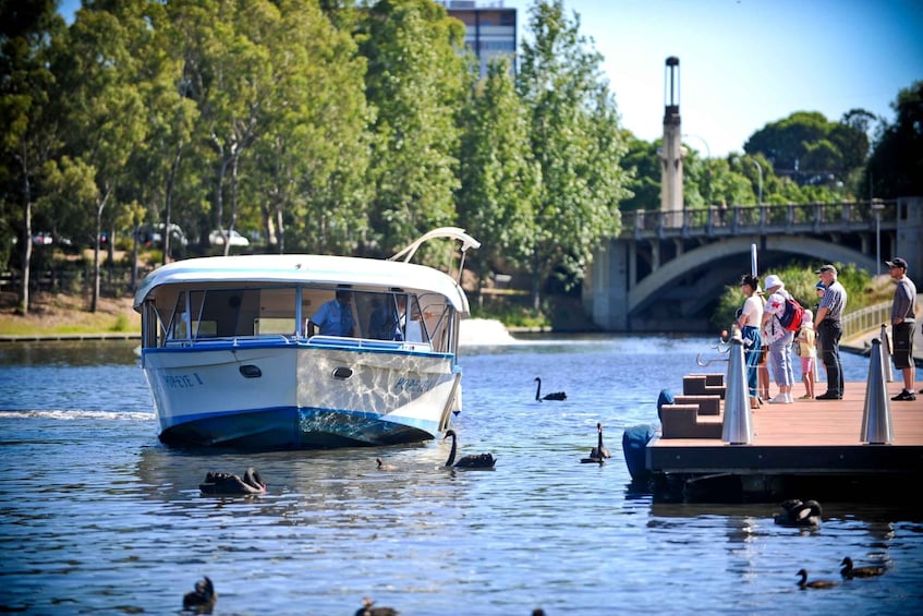 Picture 1 for Activity Adelaide: River Torrens Devonshire Tea Cruise on Iconic Boat