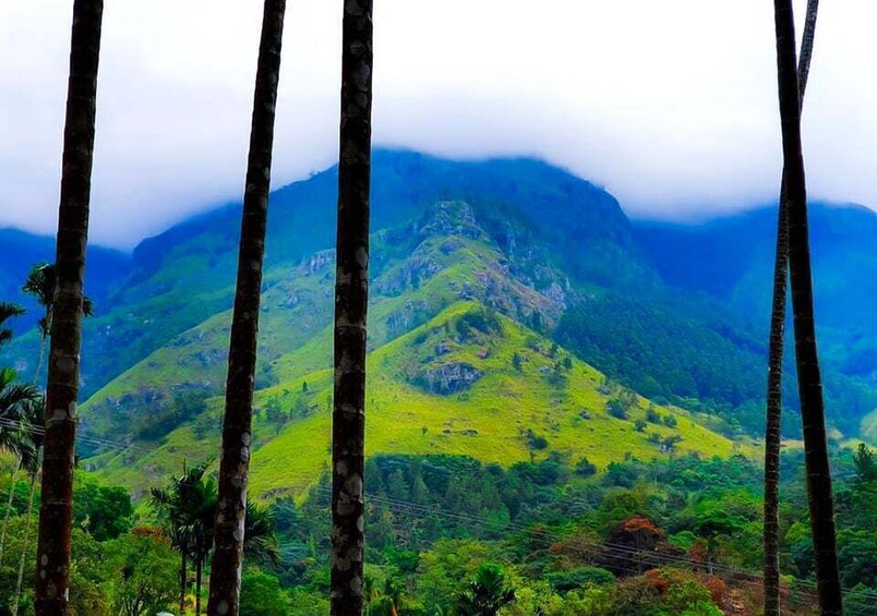 Picture 4 for Activity From Ella: Bambarakanda & Lanka Ella Falls Hike with Lunch