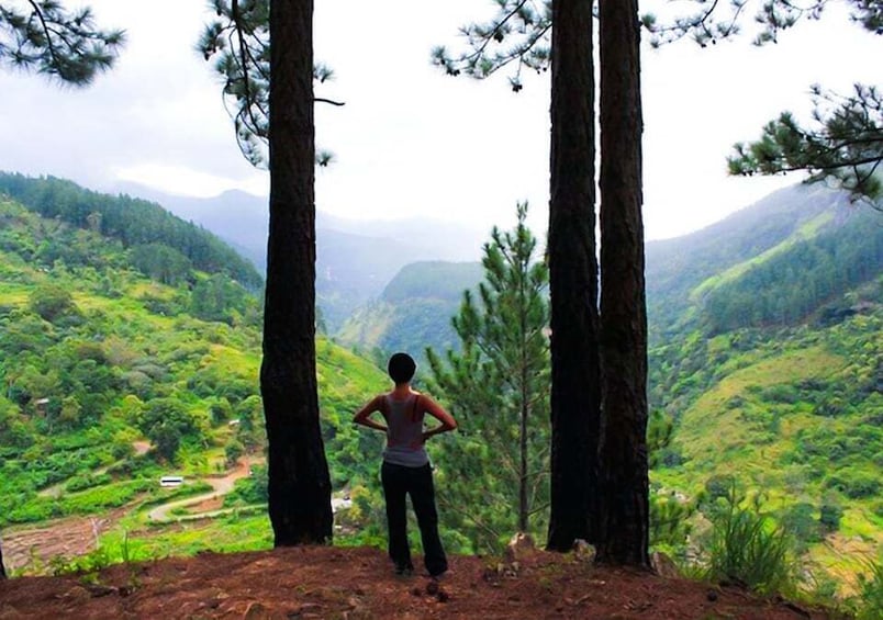 Picture 1 for Activity From Ella: Bambarakanda & Lanka Ella Falls Hike with Lunch