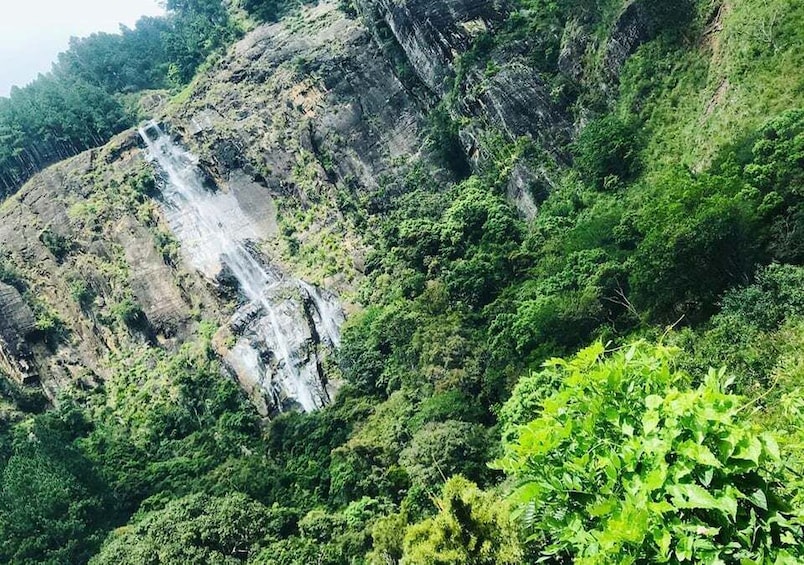 Picture 2 for Activity From Ella: Bambarakanda & Lanka Ella Falls Hike with Lunch