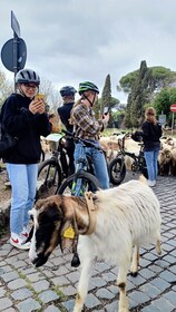 Recorrido en bicicleta eléctrica para despertarse o al atardecer por la Vía...