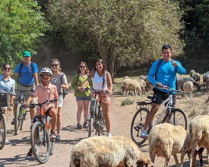 Picture 6 for Activity Wake up or Sunset Appian Way & Aqueducts e-Bike Tour