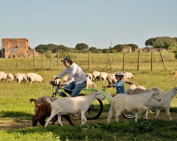 Picture 7 for Activity Wake up or Sunset Appian Way & Aqueducts e-Bike Tour