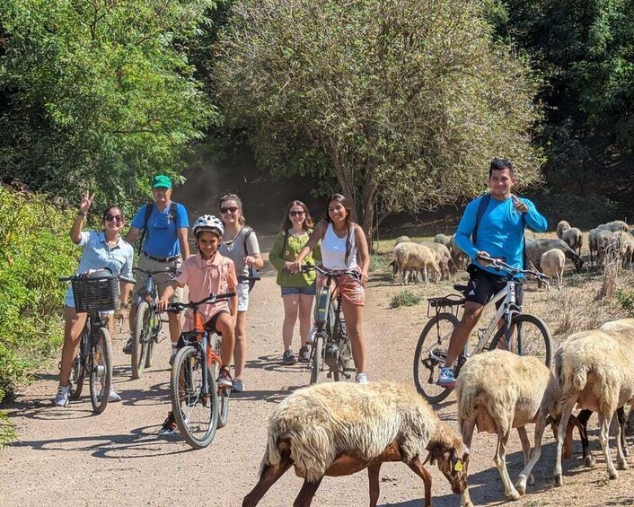 Picture 6 for Activity Wake up or Sunset Appian Way & Aqueducts e-Bike Tour