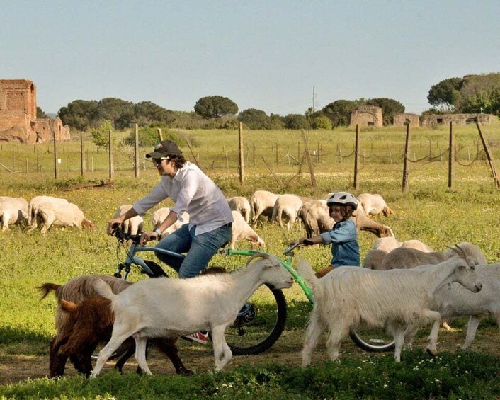 Picture 7 for Activity Wake up or Sunset Appian Way & Aqueducts e-Bike Tour