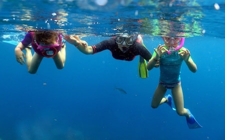From Punta Cana: Small Group Catalina Island Snorkelling Tour