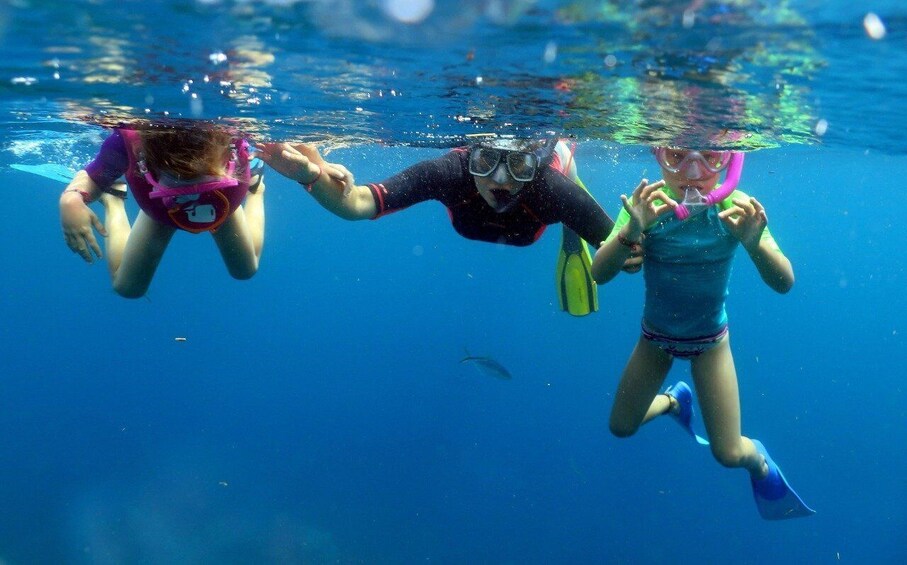 From Punta Cana: Small Group Catalina Island Snorkeling Tour