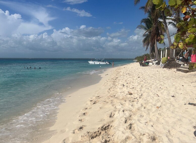 Picture 12 for Activity From Punta Cana: Small Group Catalina Island Snorkeling Tour