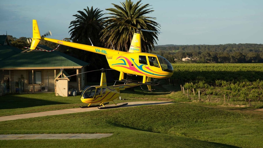 Picture 2 for Activity Lyndoch: Barossa Valley 20-Minute Scenic Helicopter Flight