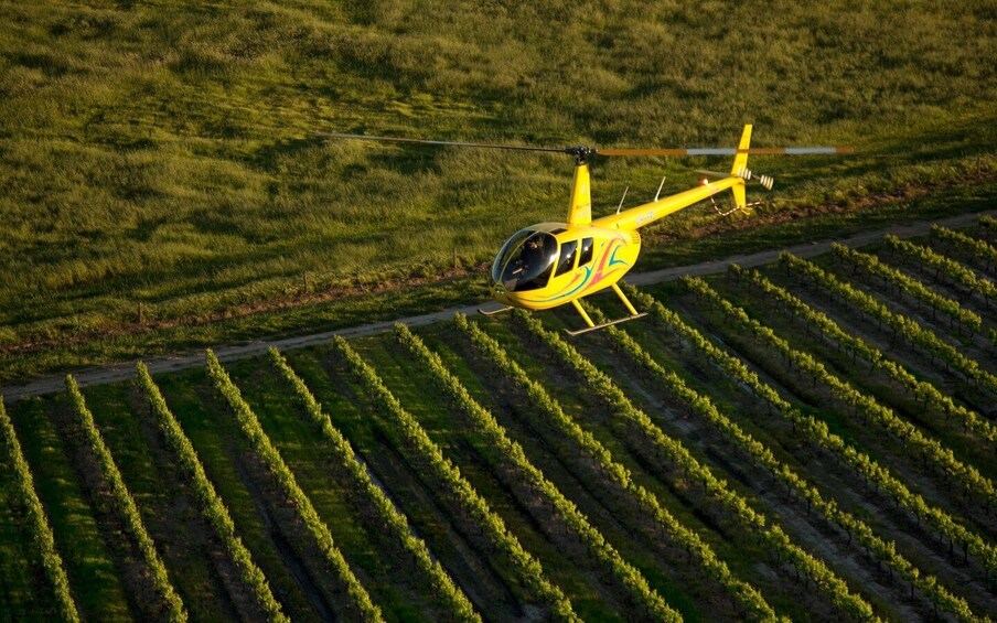 Picture 1 for Activity Barossa Valley: 20-Minute Scenic Helicopter Flight
