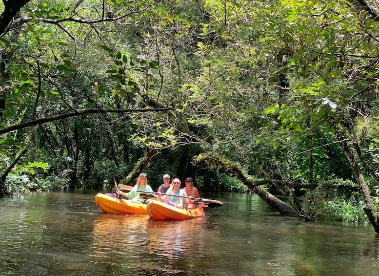 Picture 1 for Activity Jupiter: Loxahatchee River Scenic Kayak Tour