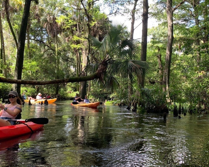 Picture 4 for Activity Jupiter: Loxahatchee River Scenic Kayak Tour