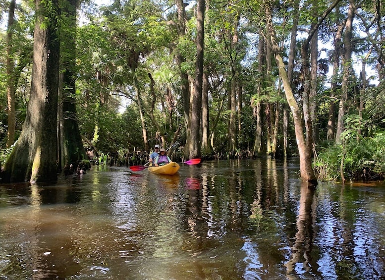 Picture 2 for Activity Jupiter: Loxahatchee River Scenic Kayak Tour