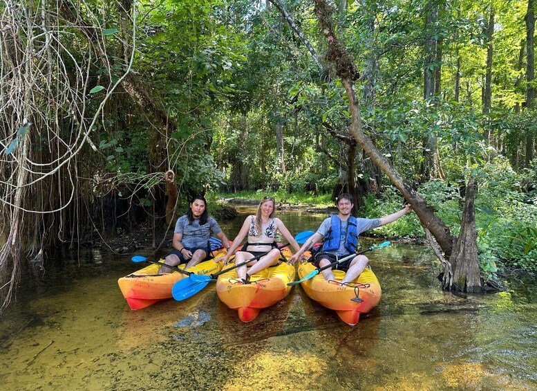 Picture 9 for Activity Jupiter: Wild and Scenic Loxahatchee River Kayak Tour