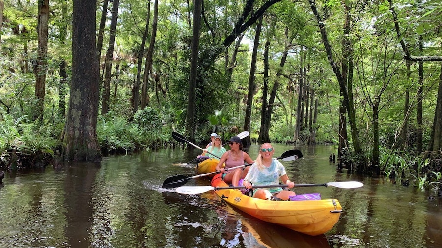 Jupiter: Loxahatchee River Scenic Kayak Tour