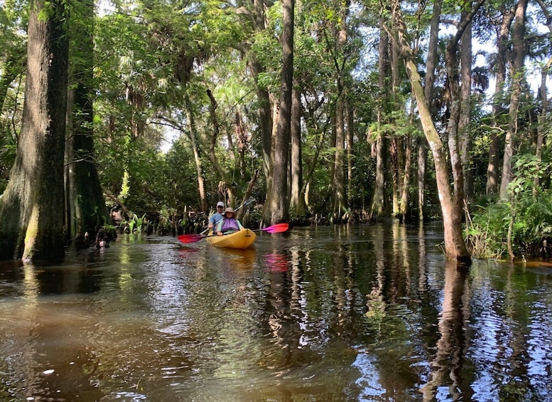 Picture 2 for Activity Jupiter: Loxahatchee River Scenic Kayak Tour