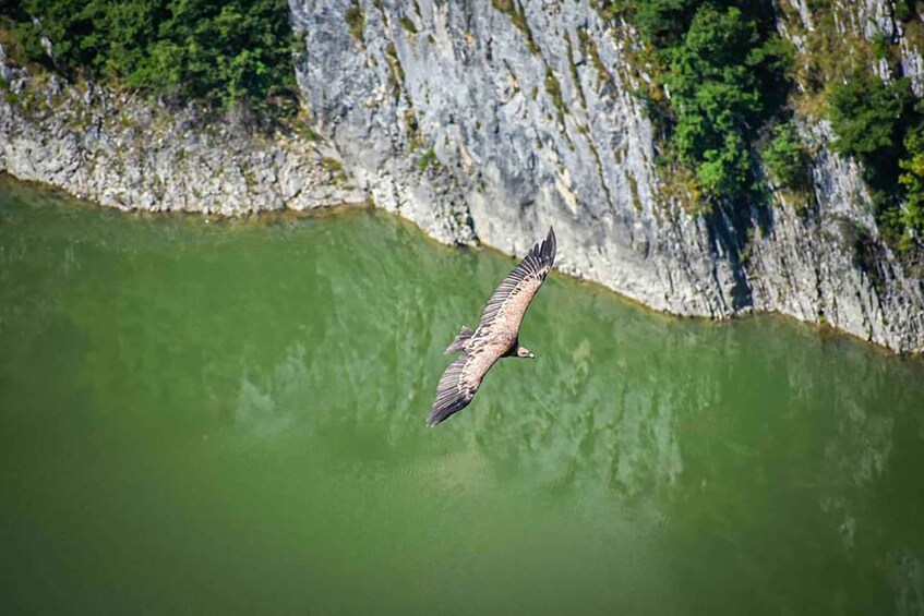 Picture 2 for Activity Belgrade: Uvac Nature Reserve Full-Day Tour