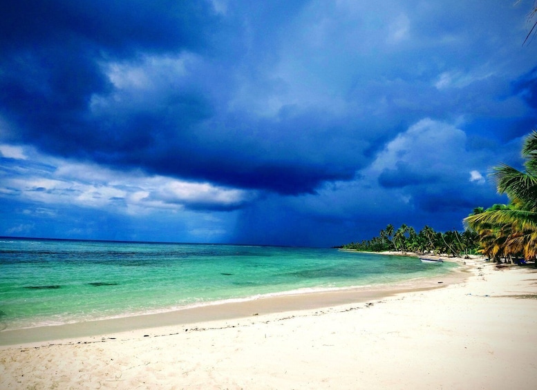 Picture 3 for Activity Saona Island: Small Group Virgin Beaches Cruise Day Trip