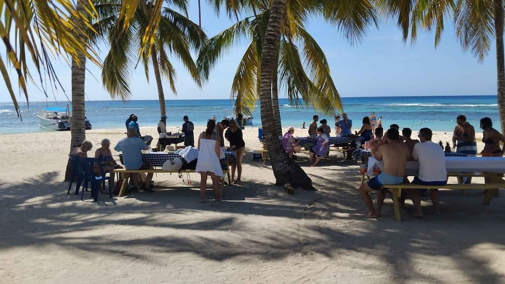 Picture 15 for Activity Saona Island: Small Group Virgin Beaches Cruise Day Trip