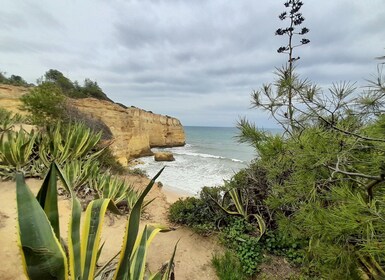 Albufeira: Tur til Algarve-klippene og benkapellet