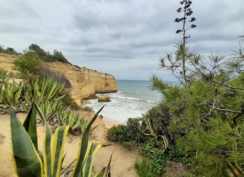 Albufeira: Algarve Cliffs and The Chapel of Bones Tour