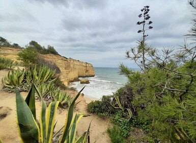 Albufeira: recorrido por los acantilados del Algarve y la Capilla de los Hu...