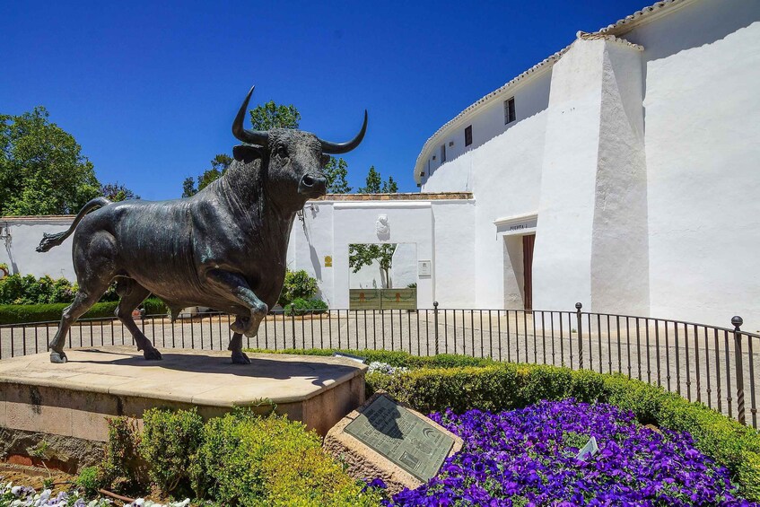 Picture 8 for Activity From Granada: Ronda Winery and Sightseeing Tour