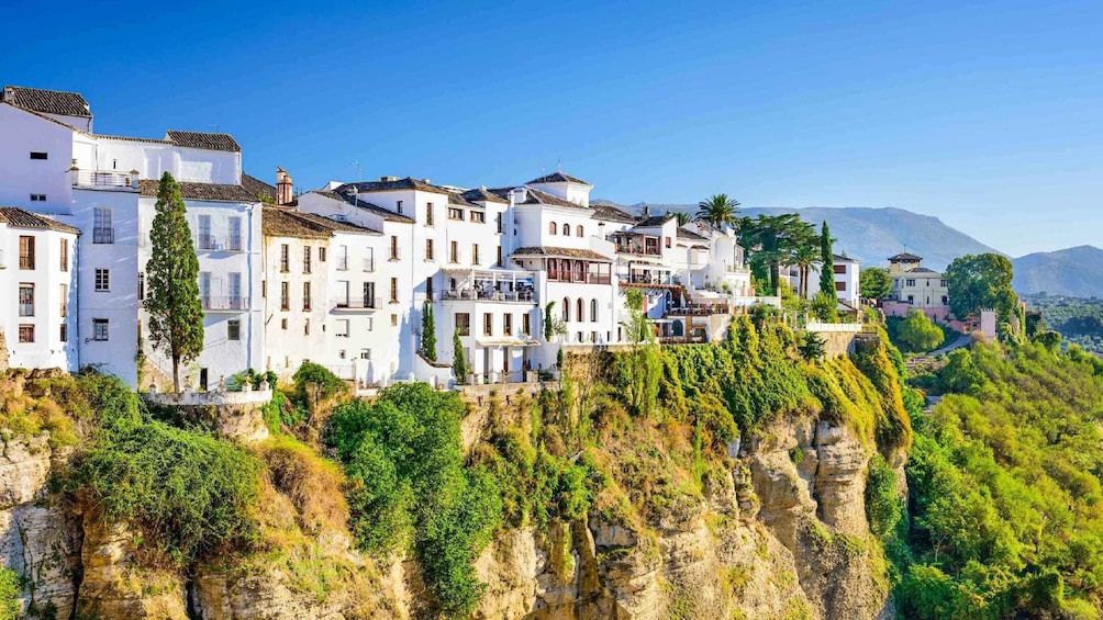 Picture 2 for Activity From Granada: Ronda Winery and Sightseeing Tour