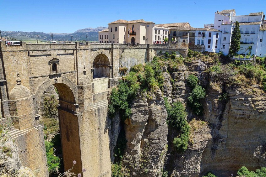 Picture 9 for Activity From Granada: Ronda Winery and Sightseeing Tour