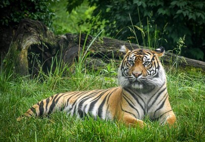 Nashville Zoo: Any-Day Admission Ticket