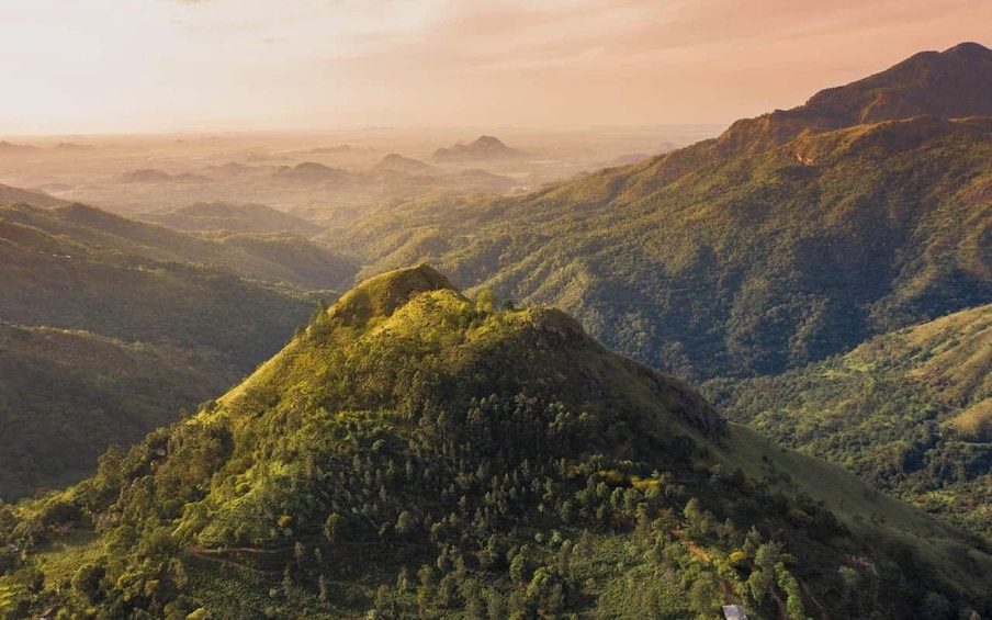 Picture 3 for Activity Adam's Peak: Overnight Trek via Peak Wilderness Sanctuary
