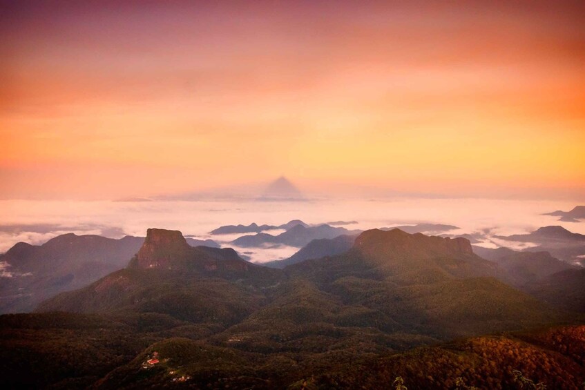 Picture 5 for Activity Adam's Peak: Overnight Trek via Peak Wilderness Sanctuary