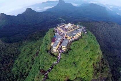 Adam's Peak: Overnight Trek via Peak Wilderness Sanctuary