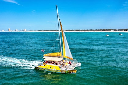 Shell Island: tour de snorkel y delfines en el catamarán Footloose