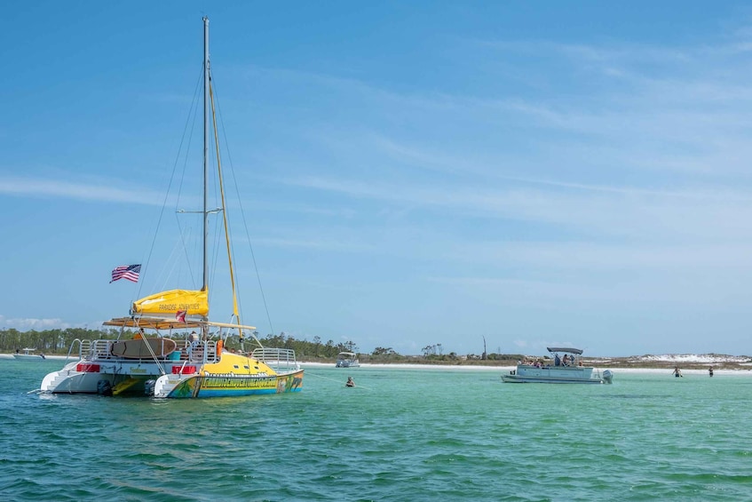 Picture 7 for Activity Shell Island: Snorkel & Dolphin Tour on Footloose Catamaran