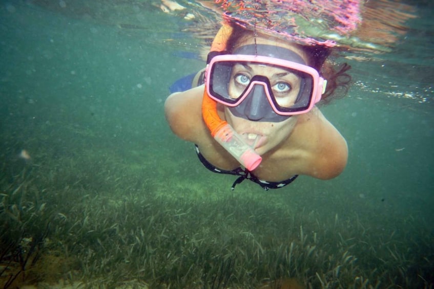 Picture 4 for Activity Shell Island: Snorkel & Dolphin Tour on Footloose Catamaran