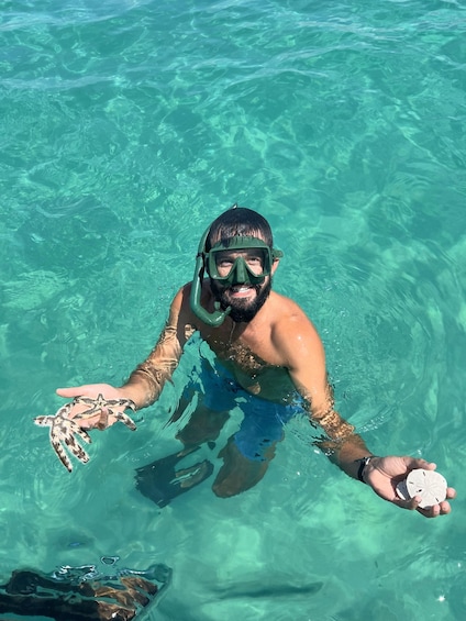 Picture 4 for Activity Panama City Beach: Shell Island Catamaran Snorkeling Tour