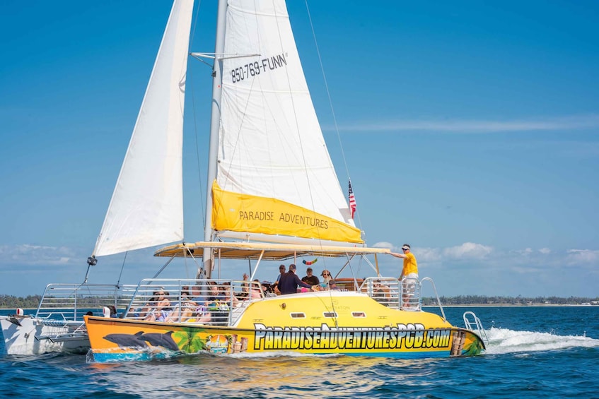 Picture 3 for Activity Shell Island: Snorkel & Dolphin Tour on Footloose Catamaran